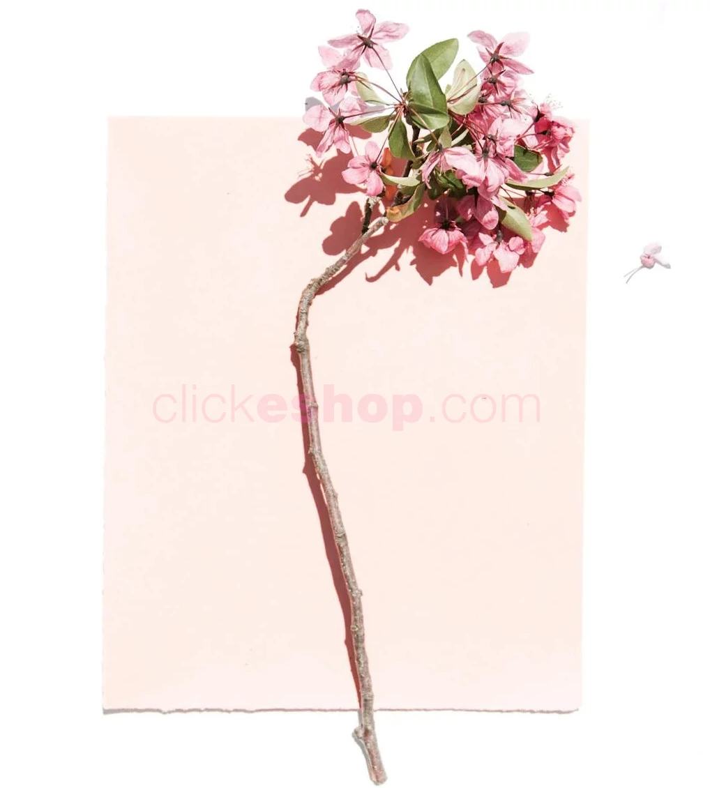 Tisíce produktov skladom